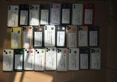 ff429a8d-e27c-4369-9214-14bae490ea84